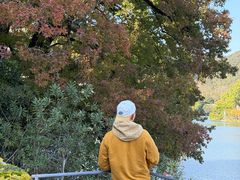 -广东温泉宾馆