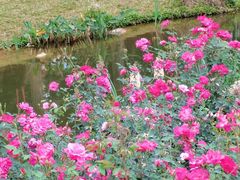 -人民公园(罗湖区)