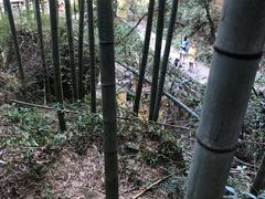 -山沟沟景区
