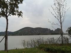 -长兴太湖图影湿地文化园