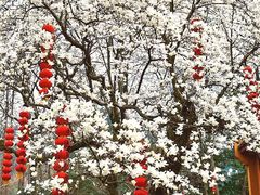 -杭州上天竺法喜讲寺