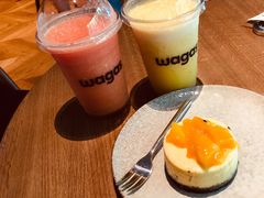 -Wagas沃歌斯(大学路店)