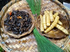 -昆虫窝子·特色云南菜(拓东路总店)
