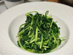 清炒马兰头-二十四单 淮扬新味
