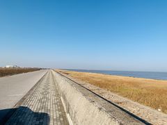 -春花秋色城市公园