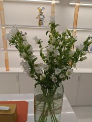 -彼家美创·量肤定制修护管理