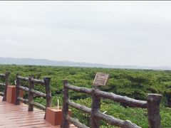 -江山半岛白浪滩景区