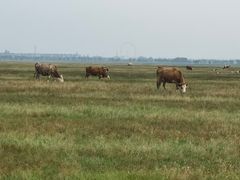 -敕勒川草原文化旅游区