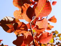 -周口店坡峰岭风景区