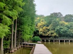 -采石矶景区