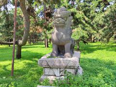 -北陵公园