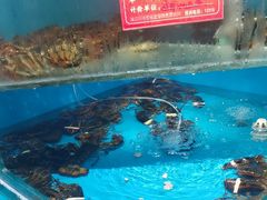 -王大厨·海鲜·家常菜