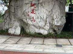 -金鸡湖桃花岛