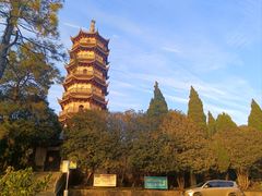 -渝龙记罐罐米线(中央城店)