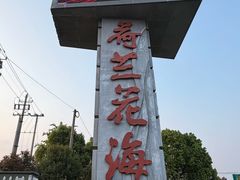 -荷兰花海