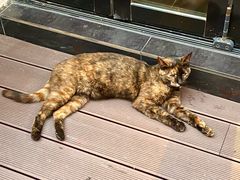 -EATALIA意塔利意式餐厅(鼓楼店)