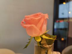-BLACKSWAN黑天鹅(环球店)