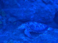 -成都浩海立方海洋公园