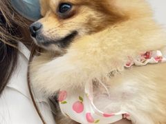 -怪兽屋·羊驼·猫咖·狗咖(俊华广场店)