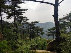 -沂蒙山旅游区云蒙景区(蒙山国家森林公园)