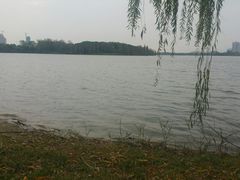-飞来湖湿地公园