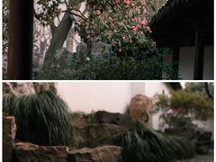 -沧浪亭