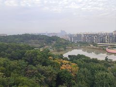 -飞凤山奥体公园