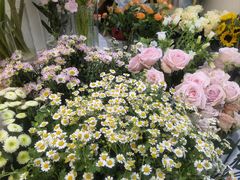 -花屿鲜花(淡水店)