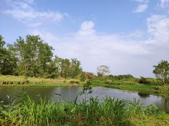 -沙美村