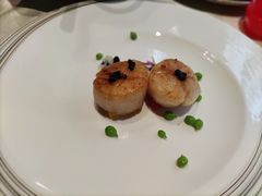 鱼子酱香煎带子皇-皇朝会.经典传统粤菜(外滩店)