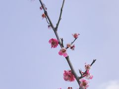 -蜀冈西峰生态公园