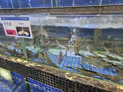 -欢乐海岸美食联盟