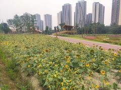 -永康森林公园