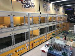 -米卢宠物公园(广华居店)