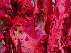 -众彩物流水产市场