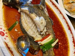 葱油龙趸鱼-万宝海鲜舫(劳动公园店)