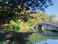 -铁山坪森林公园