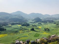 -牛街螺丝田