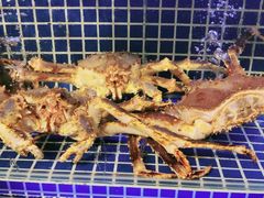 -必点海鲜·鲅鱼水饺(鞍山西道店)