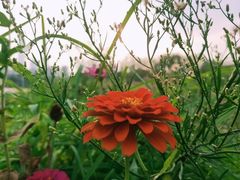 -白塘生态植物园