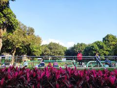 -天河儿童公园