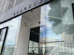 -BLACKSWAN黑天鹅(环球店)