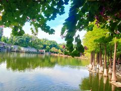 -东莞市可园博物馆