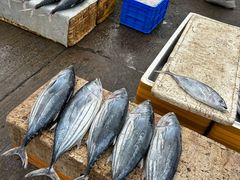 -尼甘布海鲜市场