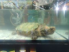 -玉华饮食店(茅台路店)