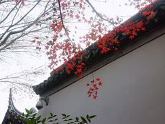 -秋霞圃