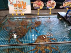 -天鲜阁·海鲜粤菜·33年老字号(石槎白云站店)