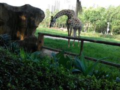 android_upload_pic-南昌动物园