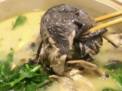 四菌双凤-钦善斋(武侯祠店)