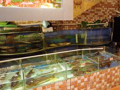 -南方酒店·淮扬菜(回民街店)